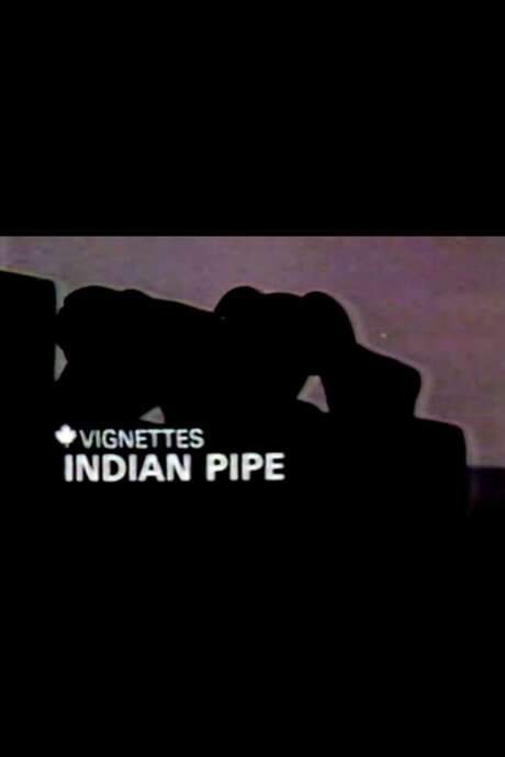 Canada Vignettes: Indian Pipe